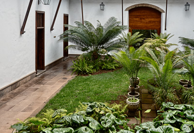 Patio posterior